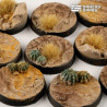 Deserts of Maahl Round 25mm (x10) (PREPEDIDO)