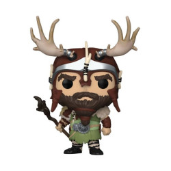 Diablo 4 POP! Druid