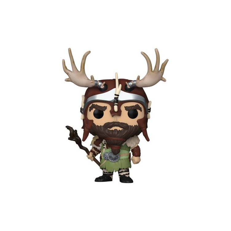 Diablo 4 POP! Druid