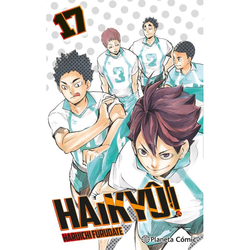 Haikyu 17