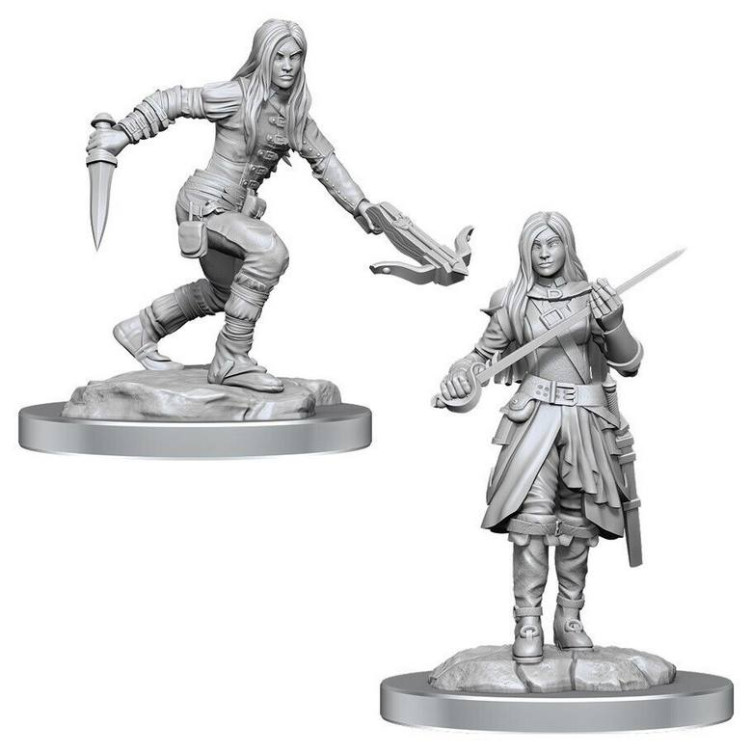 D&D Nolzur's Marvelous Miniatures: Half-Elf Rogue Female