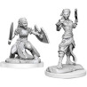 D&D Nolzur's Marvelous Miniatures: Shifter Fighter