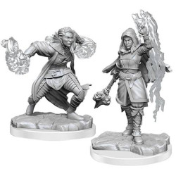 D&D Nolzur's Marvelous Miniatures: Half-Elf Warlock