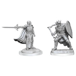 D&D Nolzur's Marvelous Miniatures: Death Knights