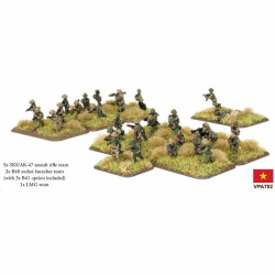 PAVN Infantry Platoon