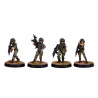 Hasslefree miniatures adventurers lady soldiers