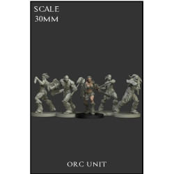 Orc Unit - 5 miniaturas