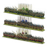 P&S Epic - Thirty Years War Infantry Battalia