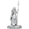 Wizkids Deep Cuts: Brigante Celts