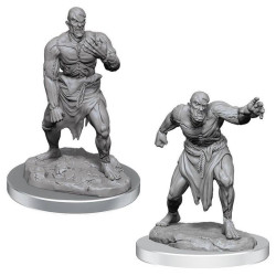 D&D Nolzur's Marvelous Miniatures: W17 Flesh Golems