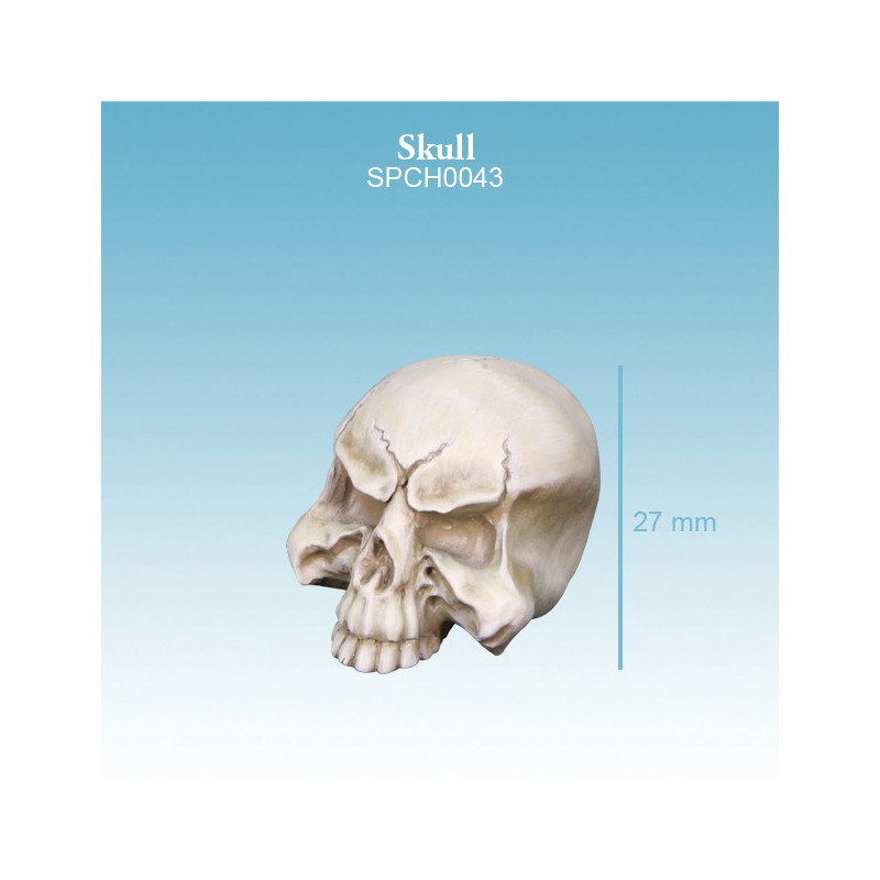 Skull