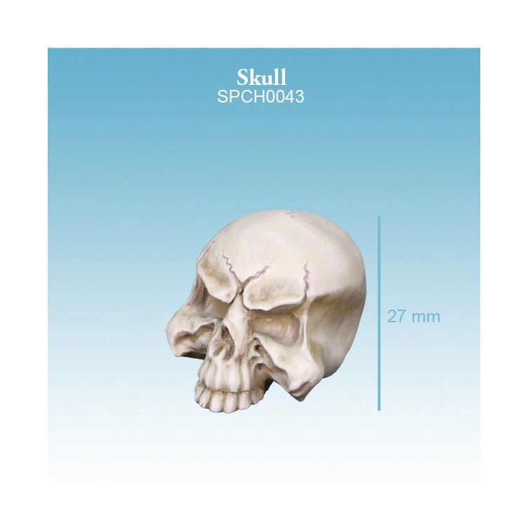 Skull