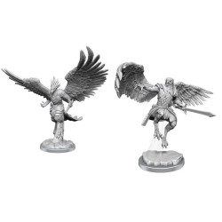 D&D Nolzur's Marvelous Min.: Aarakocra Paladins