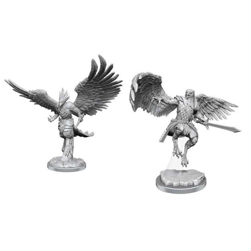 D&D Nolzur's Marvelous Min.: Aarakocra Paladins