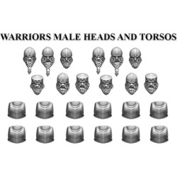 Warriors Male Heads and Torsos