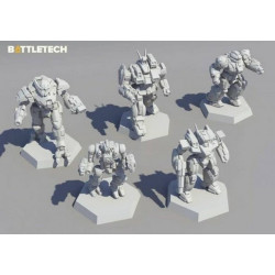 Battletech: Clan Striker Star