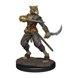 D&D Icons Realms: Tabaxi Rogue Male