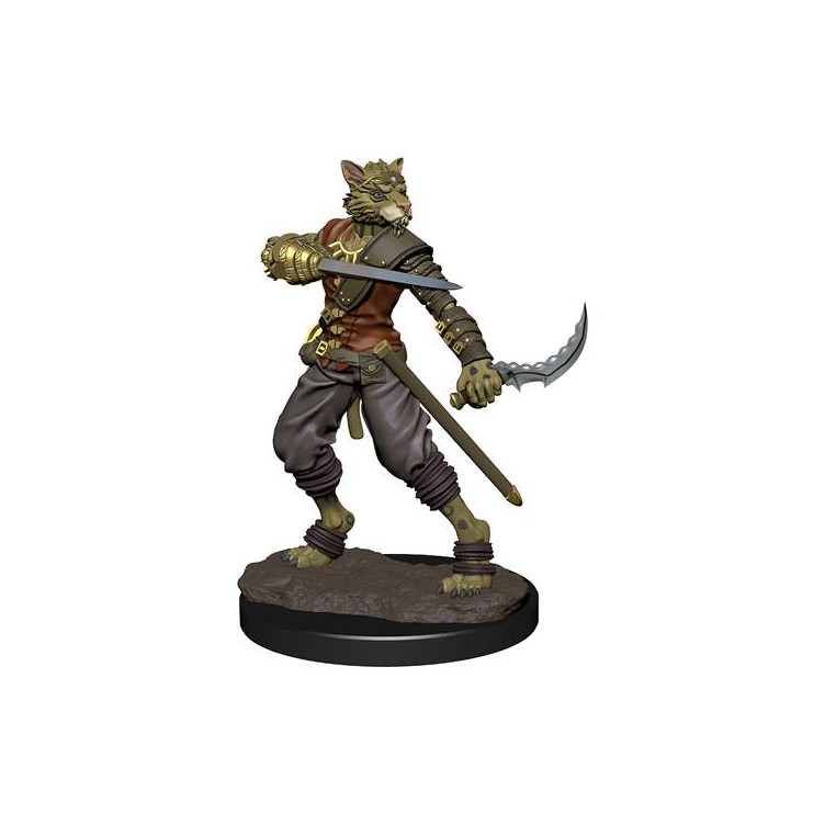 D&D Icons Realms: Tabaxi Rogue Male