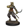 D&D Icons Realms: Tabaxi Rogue Male