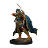 D&D Icons Realms: Elf Rogue Male