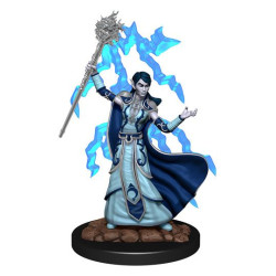 D&D Icons Realms: Elf Wizard Female