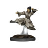 D&D Icons Realms: Human Monk Female