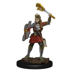 D&D Icons Realms: Human Cleric Female