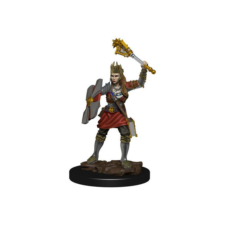 D&D Icons Realms: Human Cleric Female