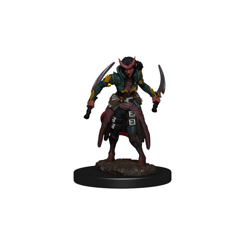 D&D Icons Realms: Tiefling Rogue Female