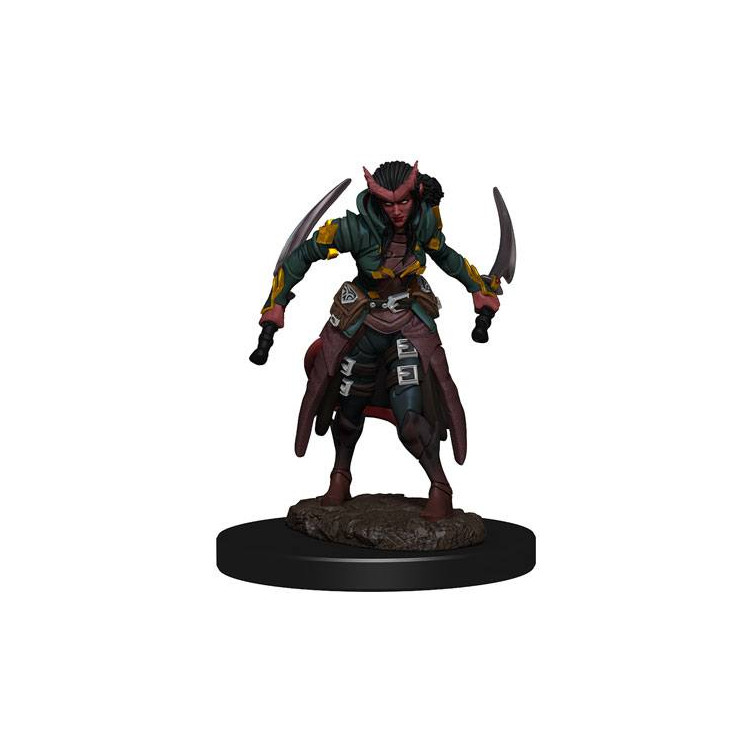 D&D Icons Realms: Tiefling Rogue Female