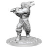 D&D Nolzur's Marvelous Miniatures: Ogre Female