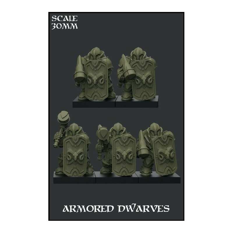 Armored Dwarves Special Unit Scale 30mm