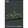 Female Death Carriers Special Unit Scale 30mm