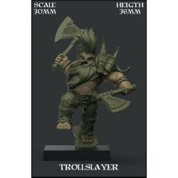 Trollslayer Scale 30mm