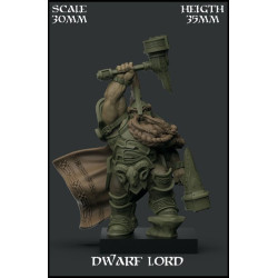 Dwarf Lord Scale 30mm