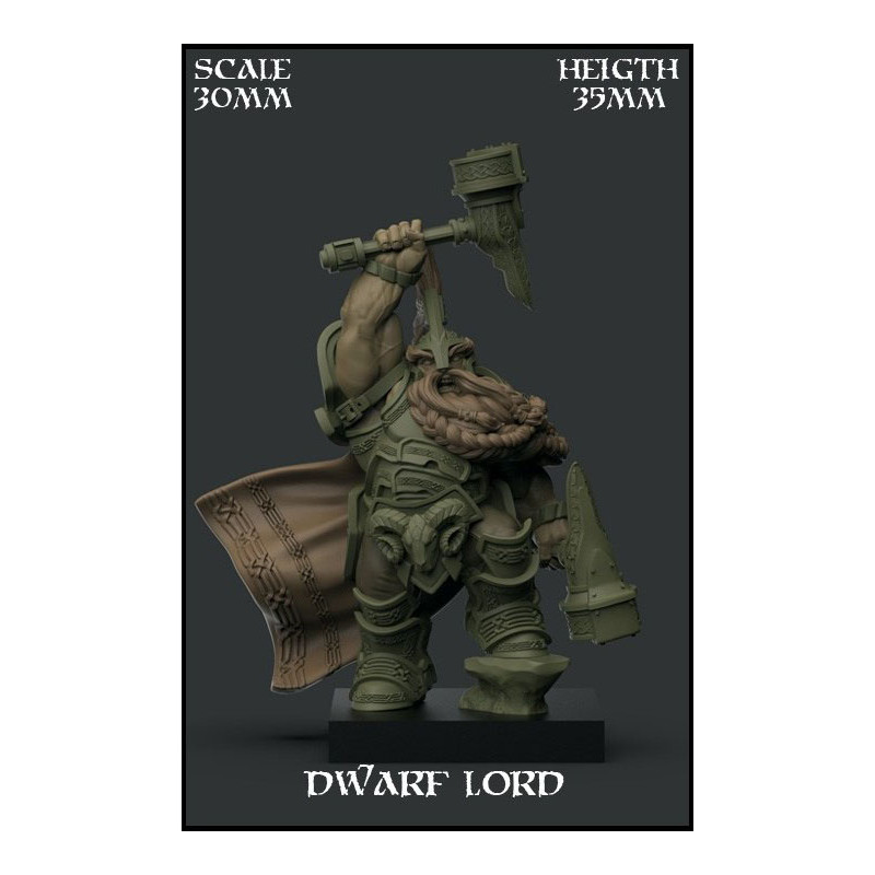 Dwarf Lord Scale 30mm