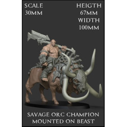 Savage Orc Champion Mounted On Beast Scale 30mm