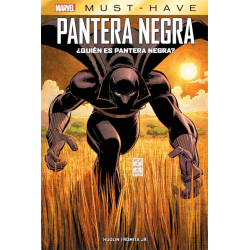 Marvel Must Have Quien Es Pantera Negra