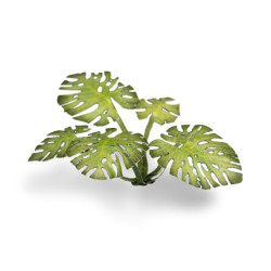 Laser Plants - Monstera