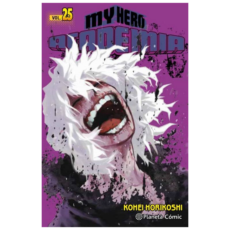 My Hero Academia 25