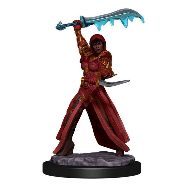 D&D Icons of the Realms: Human Rogue Female