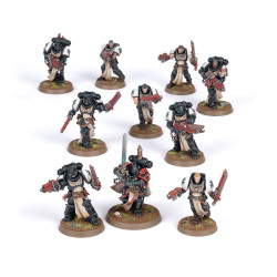 Black Templars: Escuadra de Cruzados Primaris