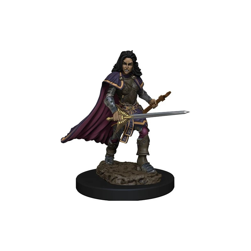 Pathfinder Battles: Human Bard Female