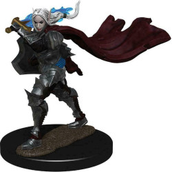 Pathfinder Battles: Elf Paladin Female Champion