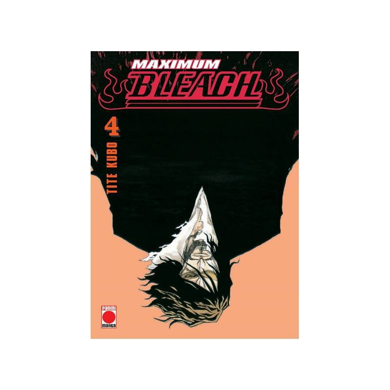 Bleach Maximum 4