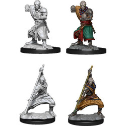 D&D Nolzur's Marvelous Miniatures: Warforged Monk