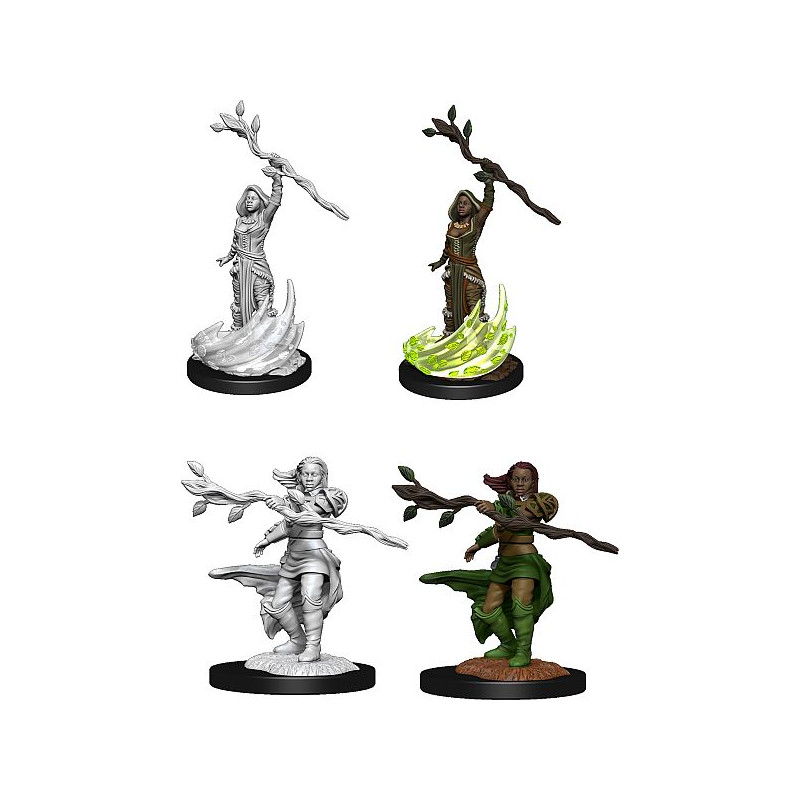 D&D Nolzur's Marvelous Miniatures: Human Druid Female