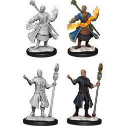 D&D Nolzur's Marvelous Miniatures: Half-Elf Wizard Male