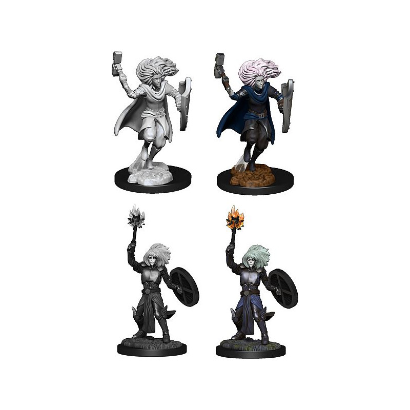 D&D Nolzur's Marvelous Miniatures: Changeling Cleric