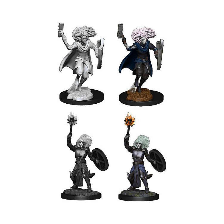 D&D Nolzur's Marvelous Miniatures: Changeling Cleric